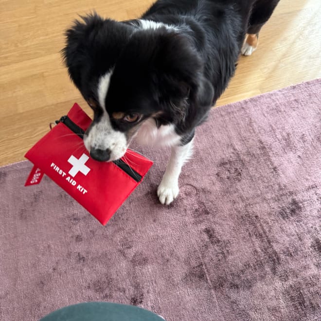 Bild von: Welches Notfallmedikament nimmst du?