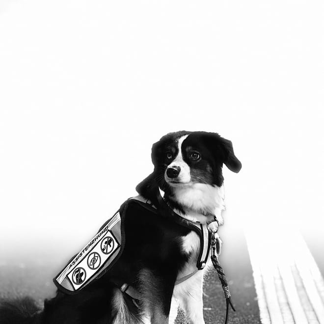 Bild von: Magie in Schwarz und Weiss – Ein besonderer Abend am Bahnhof